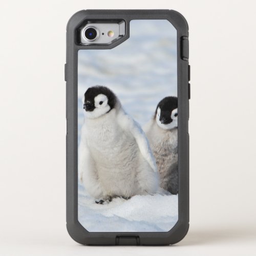 Emperor Penguin Chicks Antarctica OtterBox Defender iPhone SE87 Case