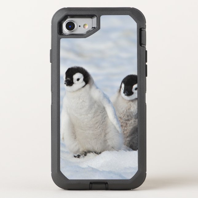 Emperor Penguin Chicks Antarctica Otterbox iPhone Case (Back)