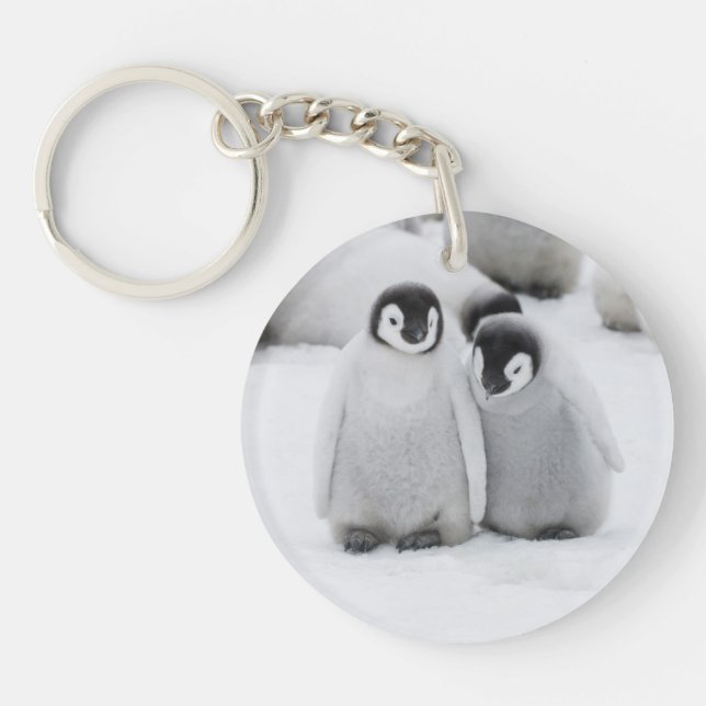 Emperor Penguin Chicks on Ice in Antarctica Keychain (Front)