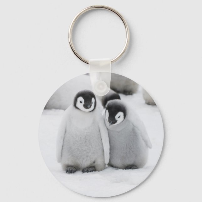 Emperor Penguin Chicks on Ice in Antarctica Keychain (Front)