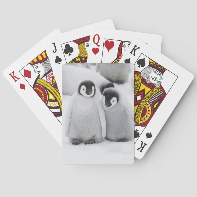 Emperor Penguin Chicks on Ice in Antarctica Poker Cards (Back)