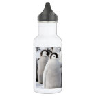 Emperor Penguin Chicks water bottle