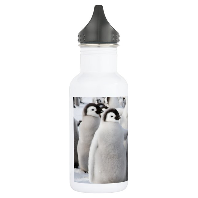 Emperor Penguin Chicks water bottle (Left)