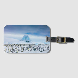 Emperor Penguin Colony Luggage Tag