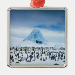 Emperor Penguin Colony Metal Ornament