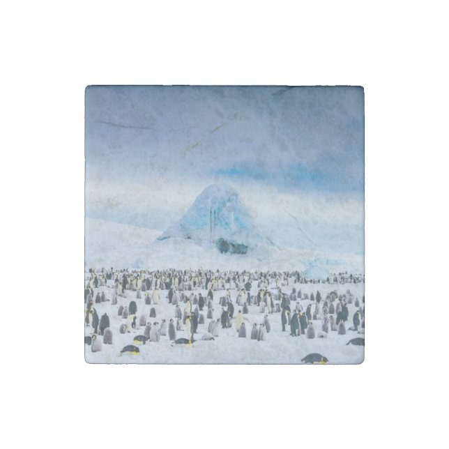 Emperor Penguin Colony Stone Magnet (Front)