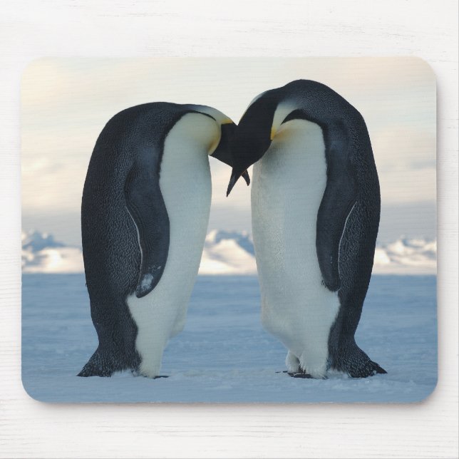 Emperor Penguin Courtship Mouse Pad (Front)