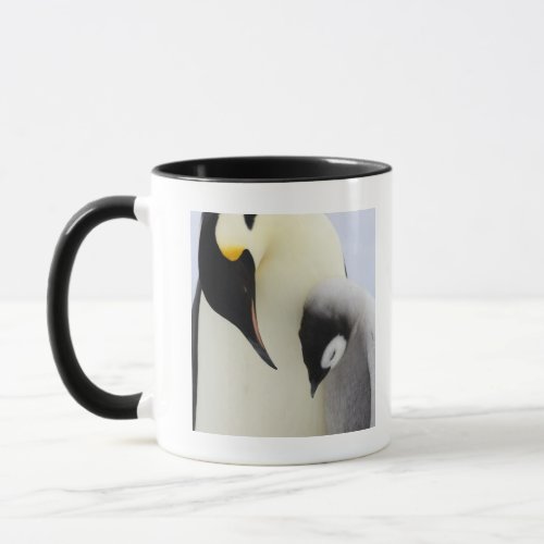 Emperor Penguin looking at chick Mug
