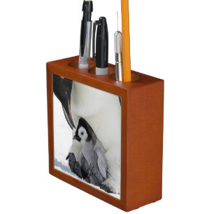Emperor Penguin Snow Hill Island Desk Organizer