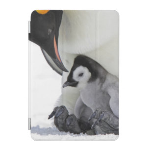 Emperor Penguin Snow Hill Island iPad Mini Cover