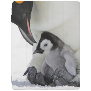 Emperor Penguin Snow Hill Island iPad Smart Cover