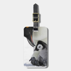 Emperor Penguin Snow Hill Island Luggage Tag