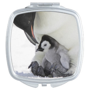 Emperor Penguin   Snow Hill Island Vanity Mirror
