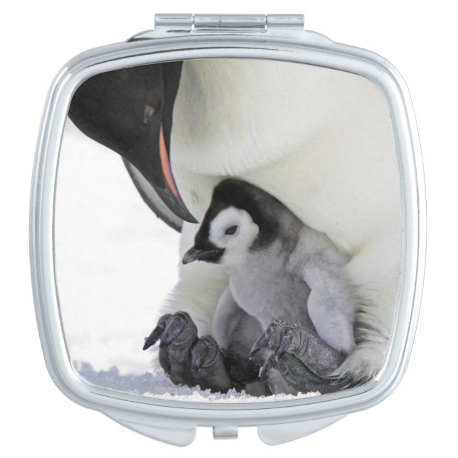 Emperor Penguin | Snow Hill Island Vanity Mirror (Front)