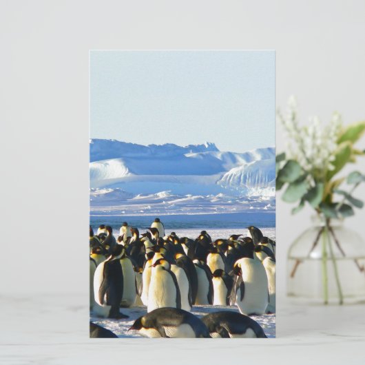 Emperor penguins (Standing Front)