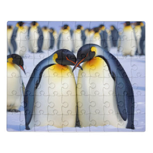 Emperor Penguins Animal Nature Wildlife Affection Jigsaw Puzzle