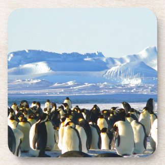 Emperor penguins beverage coaster