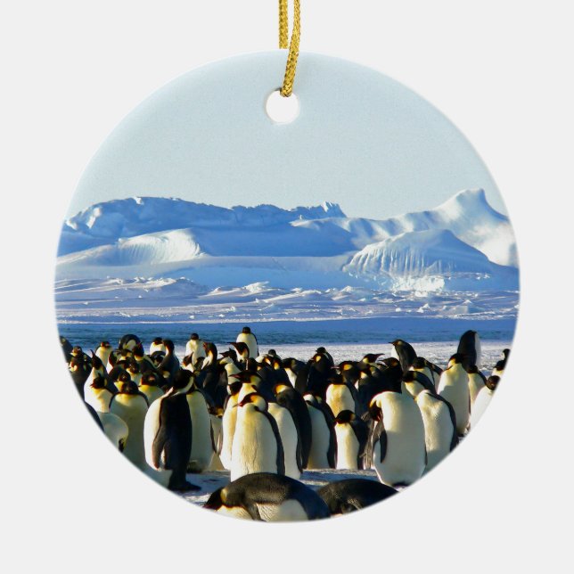 Emperor penguins ceramic ornament (Front)
