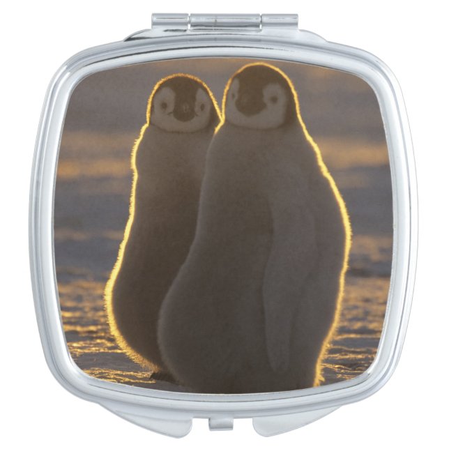 Emperor Penguins Compact Mirror (Front)