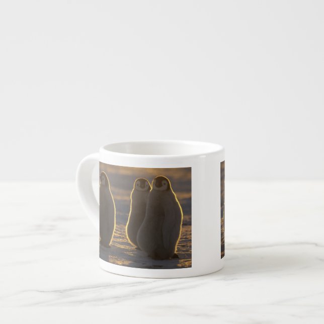 Emperor Penguins Espresso Cup (Front Left)