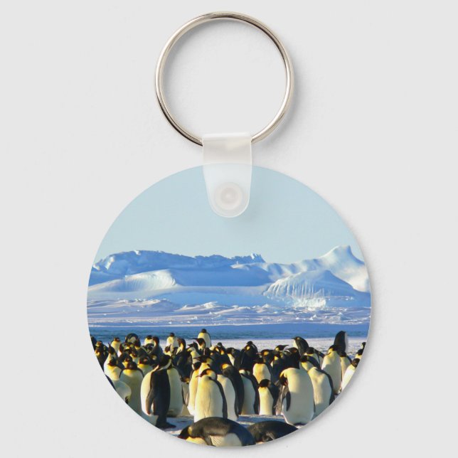 Emperor penguins keychain (Front)