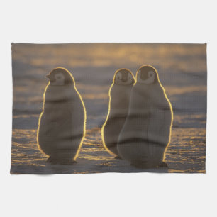 Emperor Penguins Kitchen Towel
