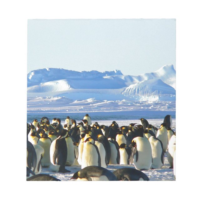 Emperor penguins notepad (Front)