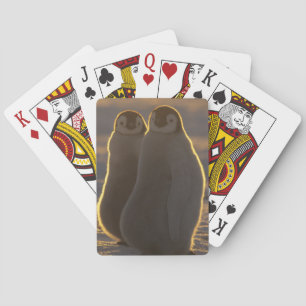 Emperor Penguins Poker Cards