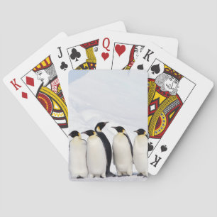 Emperor Penguins Poker Cards