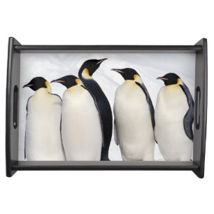 Emperor Penguins Serving Tray