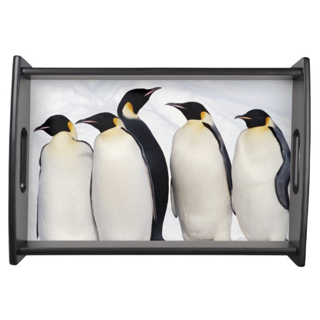 Emperor Penguins Serving Tray (Front)