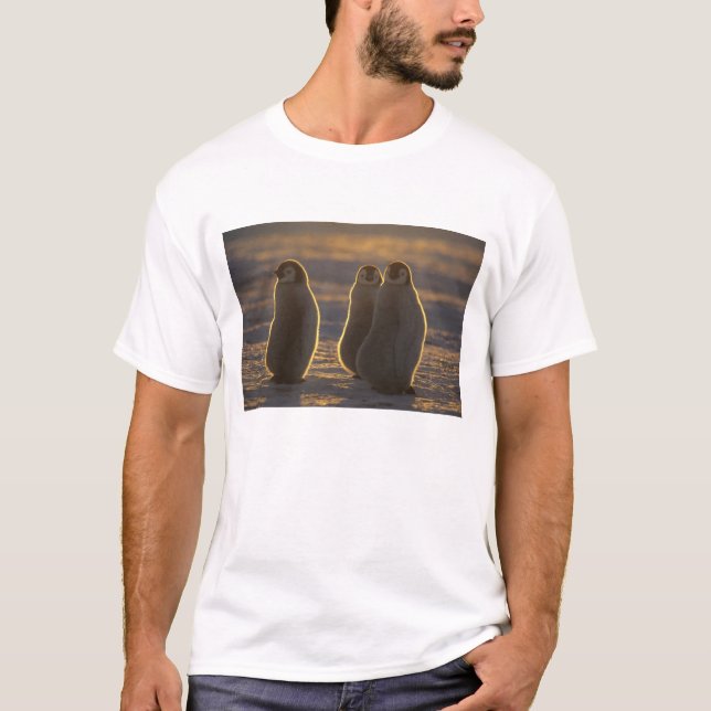 Emperor Penguins T-Shirt (Front)