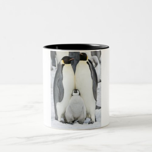 Emperor Penguins with Chick _ mug