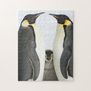 Emperor Penguins with Chick - puzzle