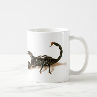 Emperor Scorpion Mug / Cup
