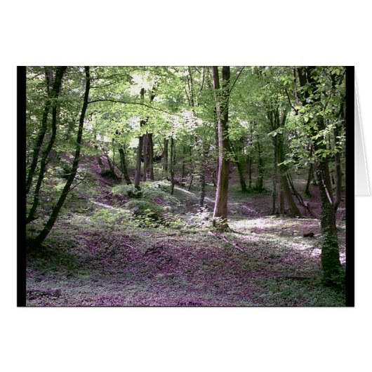 Emphasis of Peace (Front Horizontal)