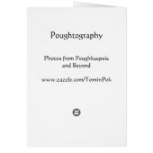 Empire State Building (Back)