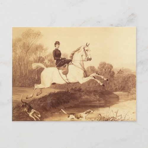 Empress Elisabeth riding horse sidesaddle 021SS Postcard