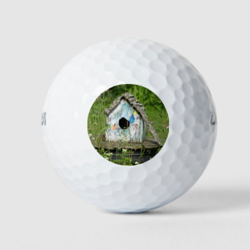 Empty Birdhouse Golf Balls