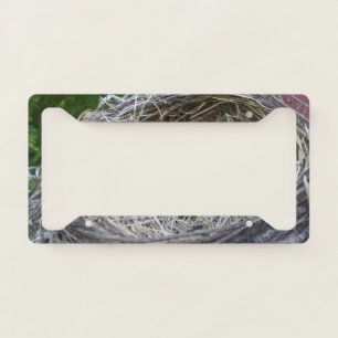 Empty Birds Nest License Plate Frame