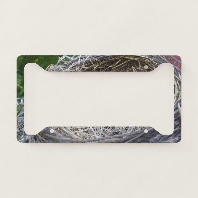 Empty Birds Nest License Plate Frame (Front)