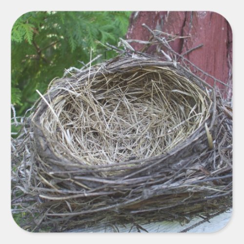 Empty Birds Nest Square Sticker