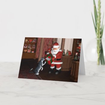Empty Box For A Grey Housecat Holiday Card by Emangl3D at Zazzle