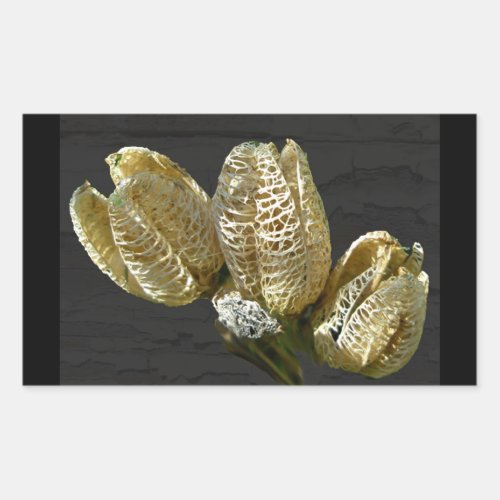 Empty Lily Seed Pods Coordinating Items Rectangular Sticker