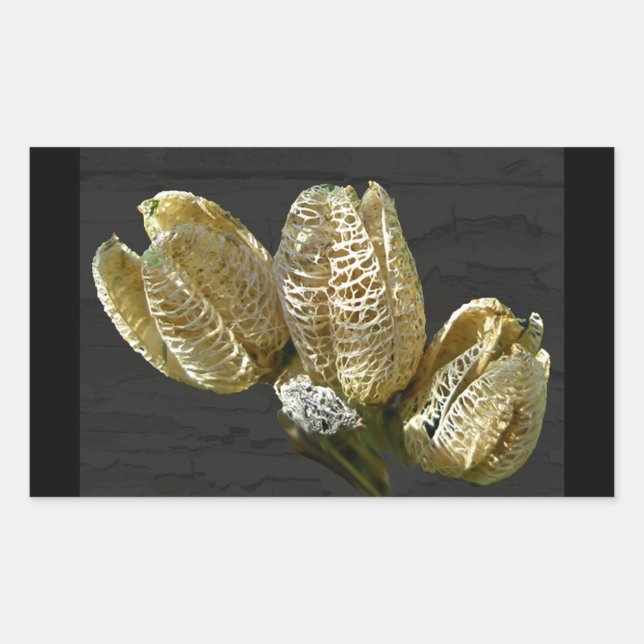 Empty Lily Seed Pods Coordinating Items Rectangular Sticker (Front)