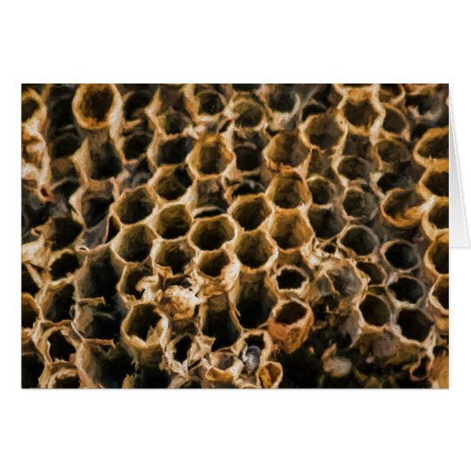 Empty Nest (Front Horizontal)