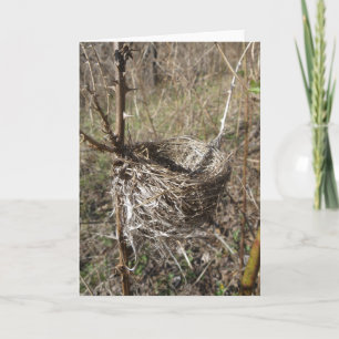 Empty Nest Card