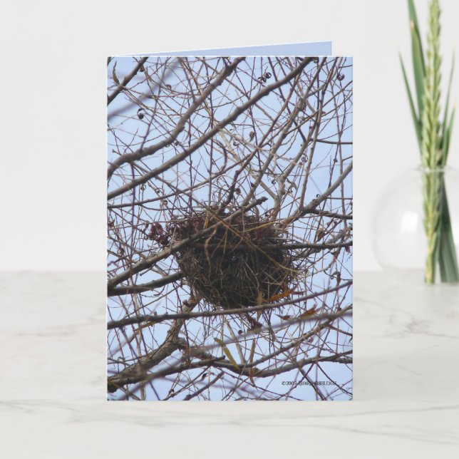 Empty Nest Card (Front)