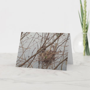 Empty Nest congratulations Card