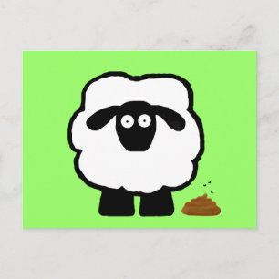 Empty Sheep Postcards